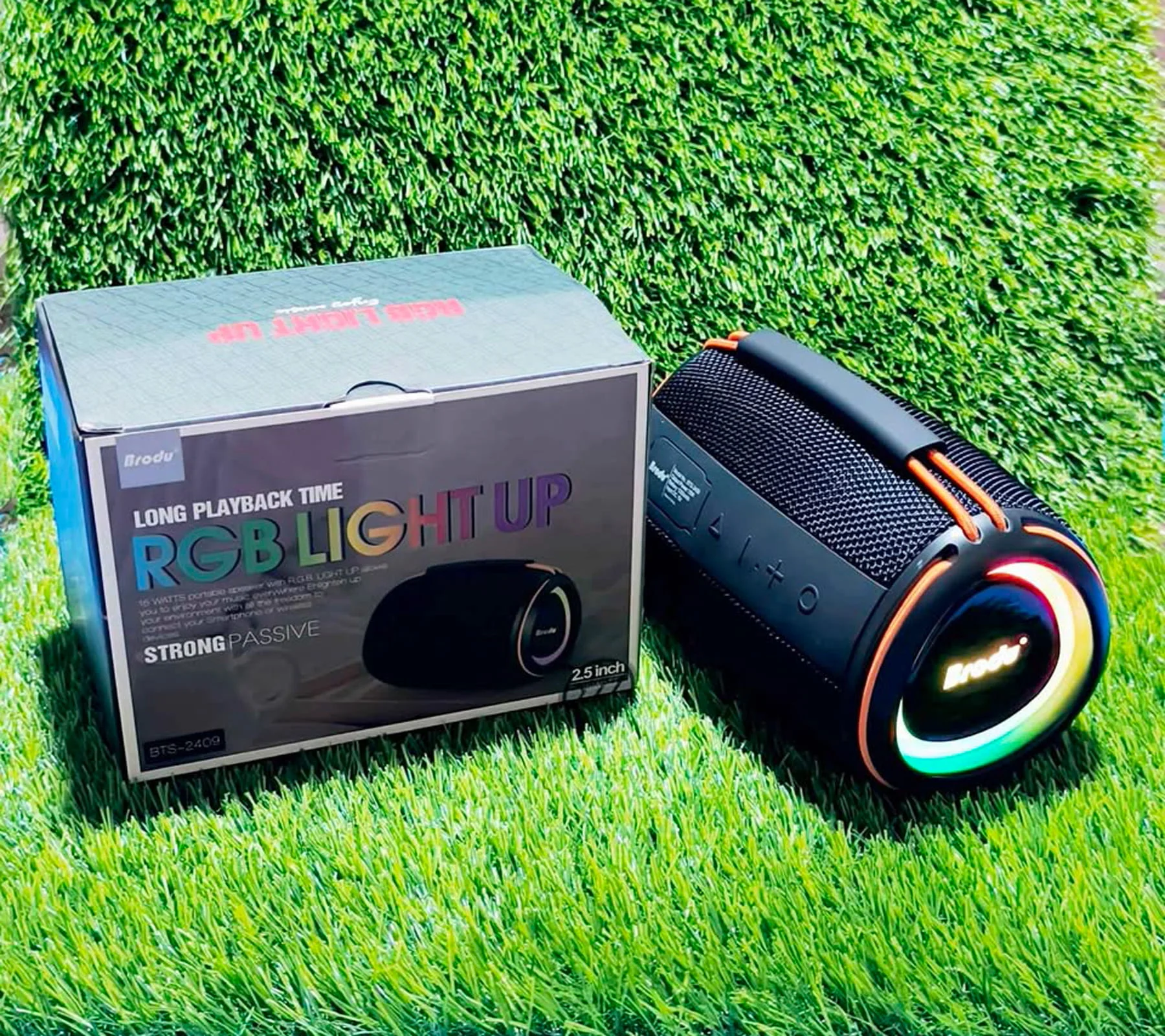 Brodu BTS-2409 Portable Bluetooth Speaker