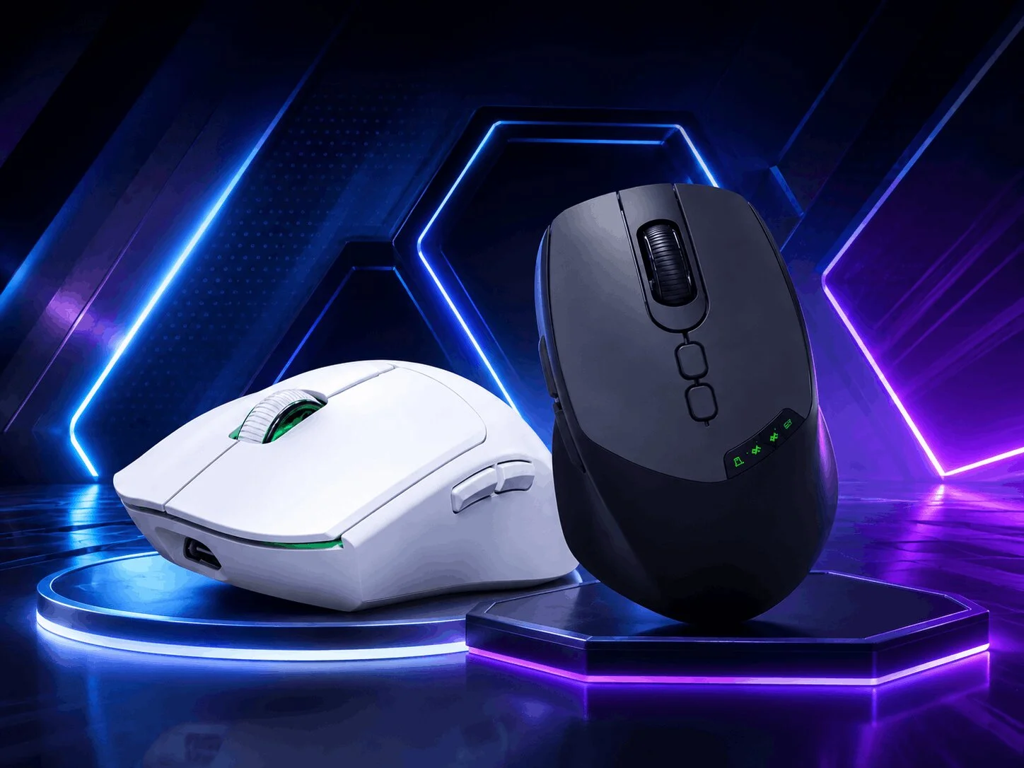 Mouses